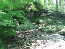 IMG_2085.jpg