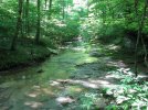 IMG_2086.jpg