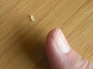 DSCN0505.JPG