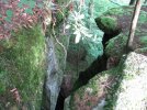 IMG_2100.jpg