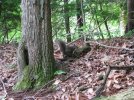 IMG_2101.jpg