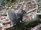 IMG_2104.jpg