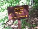 IMG_2106.jpg