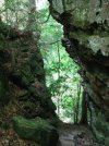 IMG_2110.jpg