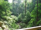 IMG_2115.jpg