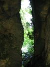 IMG_2116.jpg