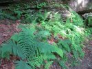 IMG_2120.jpg