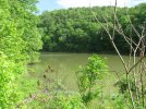 IMG_2130.jpg