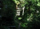 IMG_2146.jpg