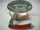 Buck 110 NS 486 Blade #2.jpg