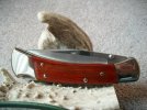 Buck 110 NS 486 Blade #4.jpg