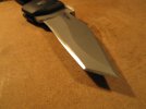spart_tanto 008.JPG