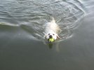 IMG_0553.jpg