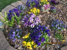 IMG_4828ed.jpg
