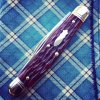 GEC_82_elderberry_04.jpg