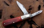 CASEB-1A.jpg
