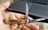 trapper.jpg