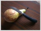 Ettrick_poire.jpg
