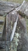 20190406_084923.jpg