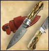 Crayfish-Knife.jpg