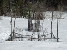 DSCF4573 TOMATO CAGES 650 MED.jpg