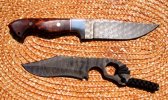hossom and ti slcc1a.jpg