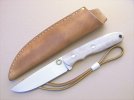 #20 2 cut stag 2.jpg