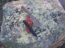 100_0049.jpg