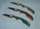 kiwis_all3.jpg