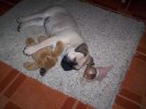 100_0065.jpg