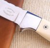 Knife Hunter #173 Mammoth 1 154CM LOGOBOLSTERPIN aok.jpg