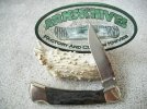 Buck 110 NS 486 Drop Point Blade Maple Handles #1.jpg