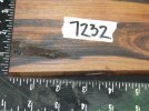 7232b.jpg