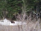 100_2776.jpg