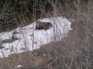 100_2778.jpg