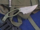 Hollowpoint%20Fixed%20Pics%20002.jpg