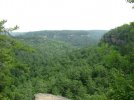 IMG_2242.jpg