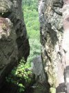 IMG_2258.jpg