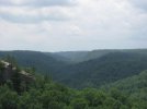IMG_2262.jpg