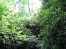 IMG_2268.jpg
