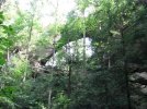 IMG_2276.jpg
