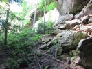 IMG_2281.jpg