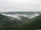 IMG_2296.jpg