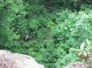 IMG_2330.jpg