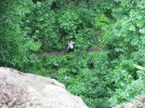 IMG_2331.jpg