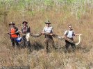 python17.jpg
