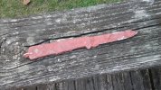20190416_173035.jpg