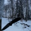 20190417_085700_crop_918x902-688x676.jpg