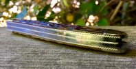IMG_4012.JPG