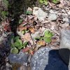 20190424_132759-864x864.jpg